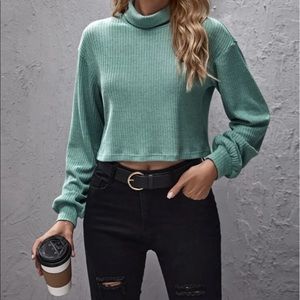 Ribbed Cropped Turtleneck